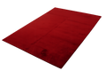 Nepal Red-472