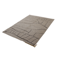 Topography Field